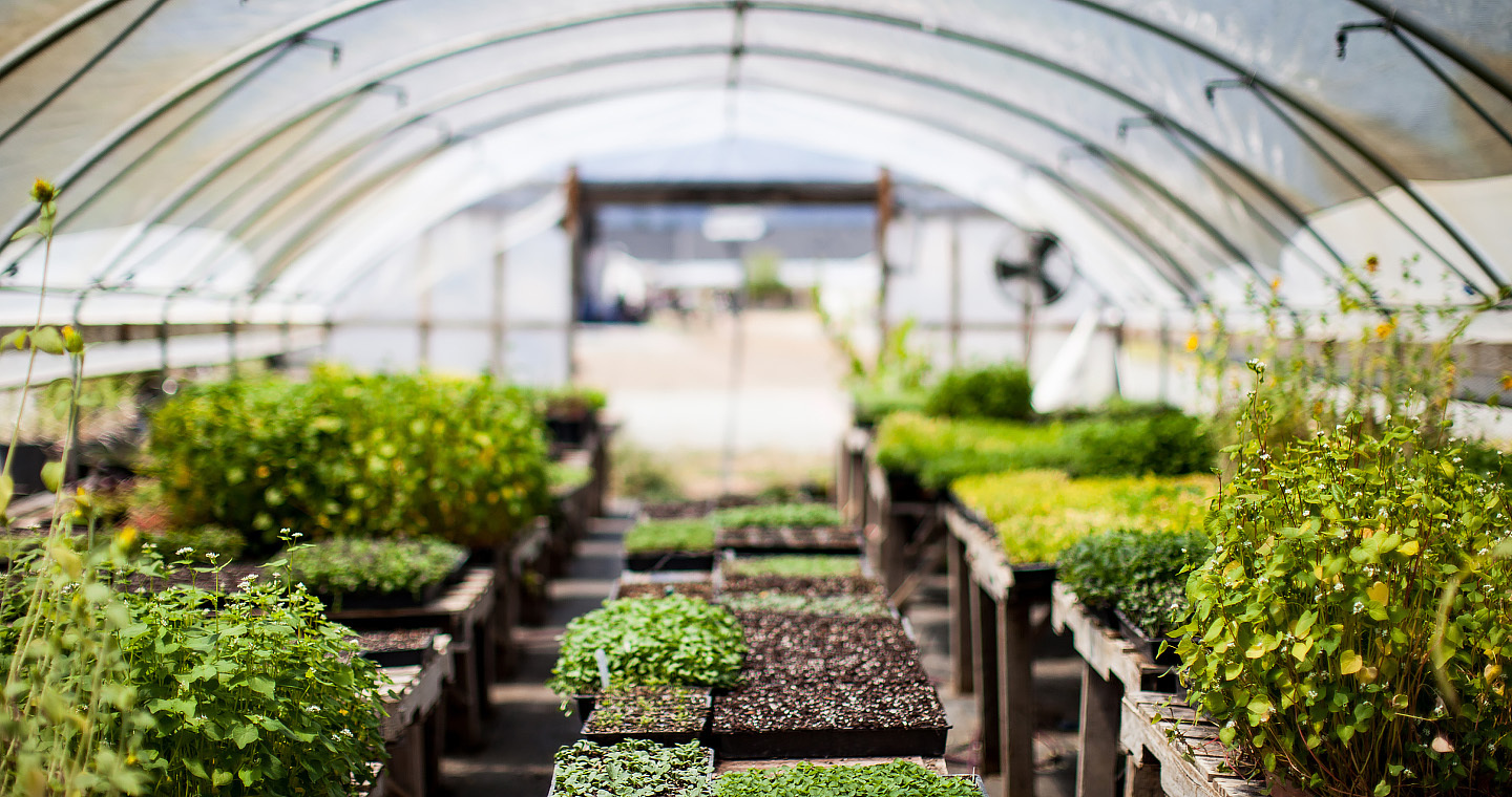 Promesse de fleurs Magasin 10 Promesse de fleurs Magasin -Promesse de fleurs Magasin 10001 1