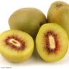 Kiwi - Actinidia Deliciosa Kiwi Wonder 1 Kiwi - Actinidia Deliciosa Kiwi Wonder -Promesse de fleurs Magasin Actinidia deliciosa Wonder 84702 1