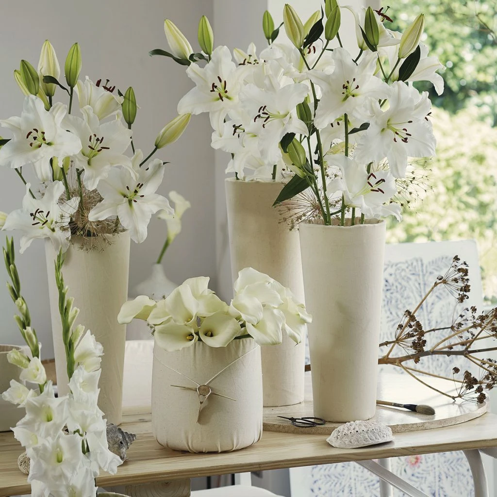 Collection Bulbes Pour Bouquets Modernes Blancs 3 Collection Bulbes Pour Bouquets Modernes Blancs