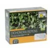 Graines De Dichondra Repens 2 Graines De Dichondra Repens -Promesse de fleurs Magasin DICHONDRA 500G 3284721009055 16074 1