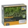 Graines De Gazon Kikuyu - Pennisetum Clandestinum -Promesse de fleurs Magasin KIKUYU 500G 3284721011058 16075 1