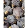 Figuier - Ficus Carica Grise De Tarascon 2 Figuier - Ficus Carica Grise De Tarascon -Promesse de fleurs Magasin ficus carica grise de tarascon demi tige en pot de7 l0l 1005092 1